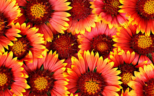 1194392 (a): :2880x1800